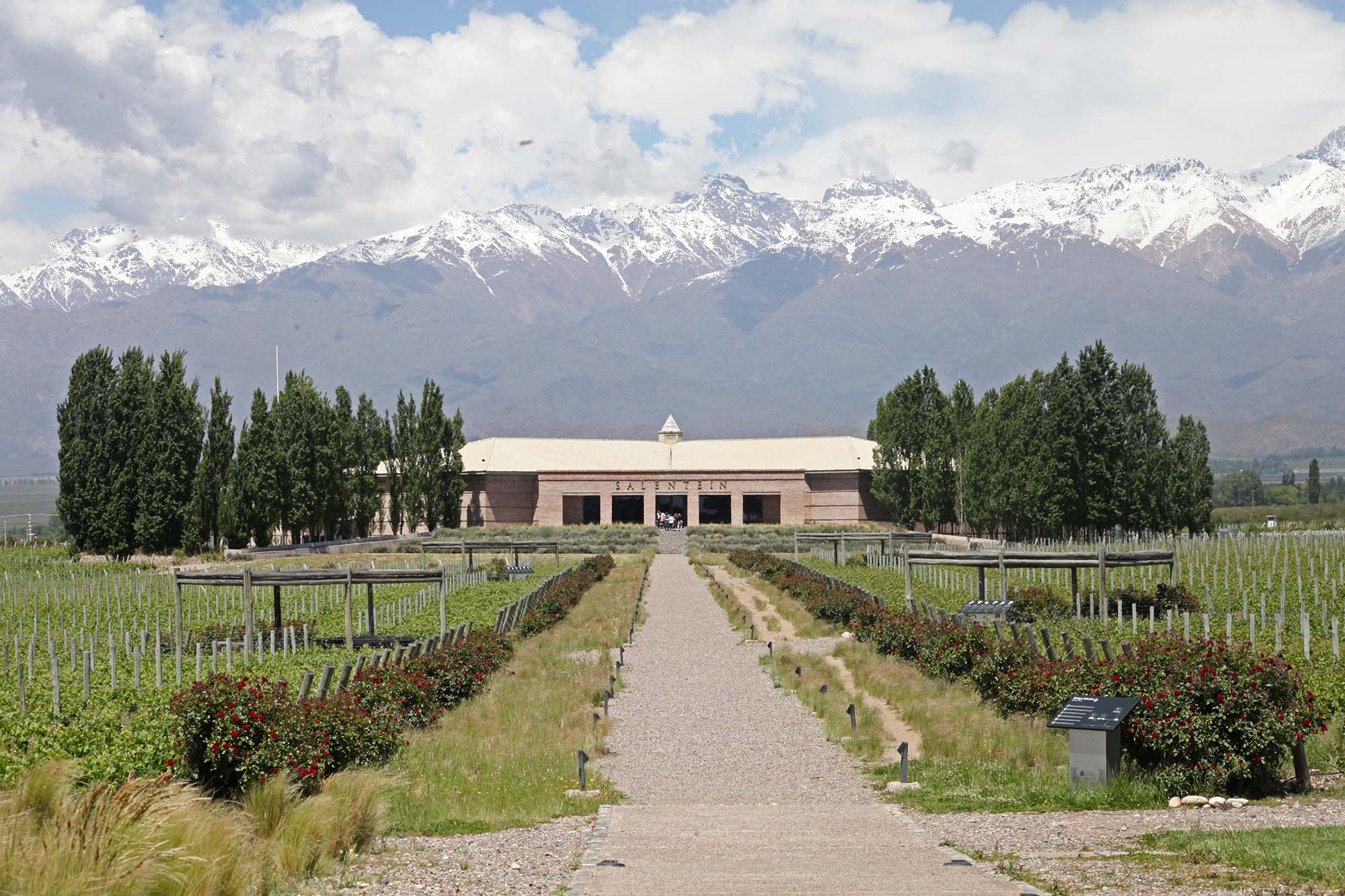 Salentein er et af de store bodegaer, der producerer kvalitetsvin i Valle de Uca, Mendoza.