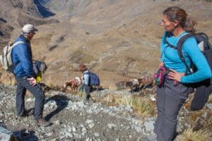 Trekking up to the Choquetacarpa pass at 4.600 masl.