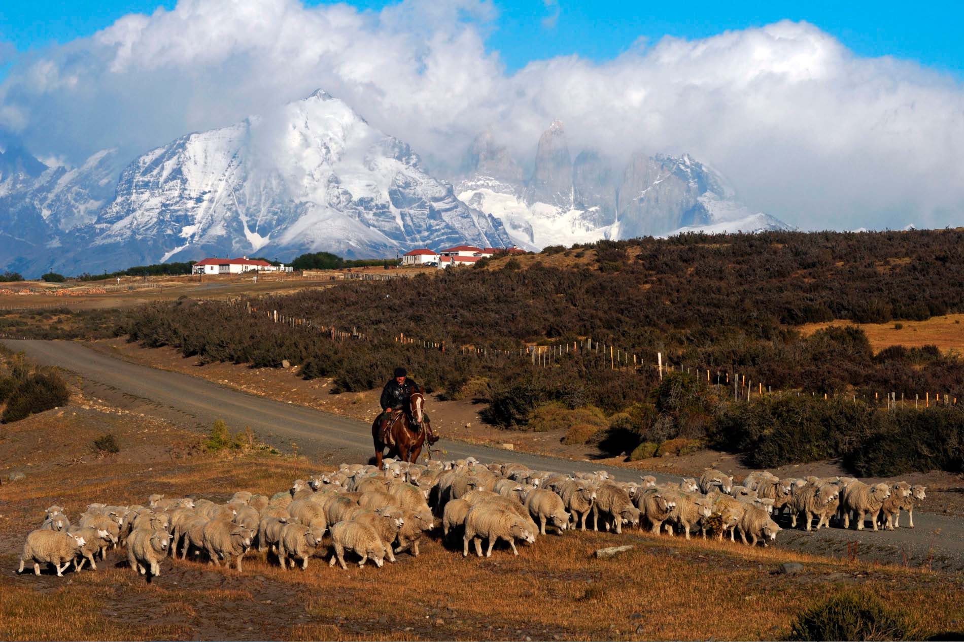 Chile Andesbjergene Torres del Paine Gaucho ved Cerro Guido Gaucho i Torres del Paine.