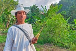 Ung mand der tilhører folket wiwa, der lever i Sierra Nevadabjergene.