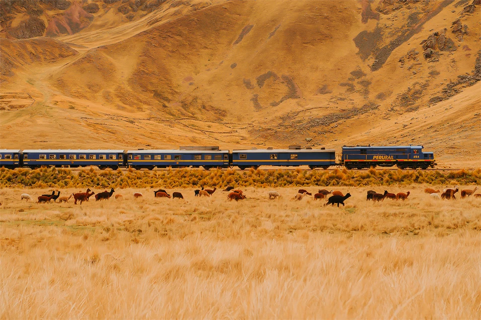 PeruRail-Titicaca-galeria-28 Med toget over højsletten fra Cusco til Puno.