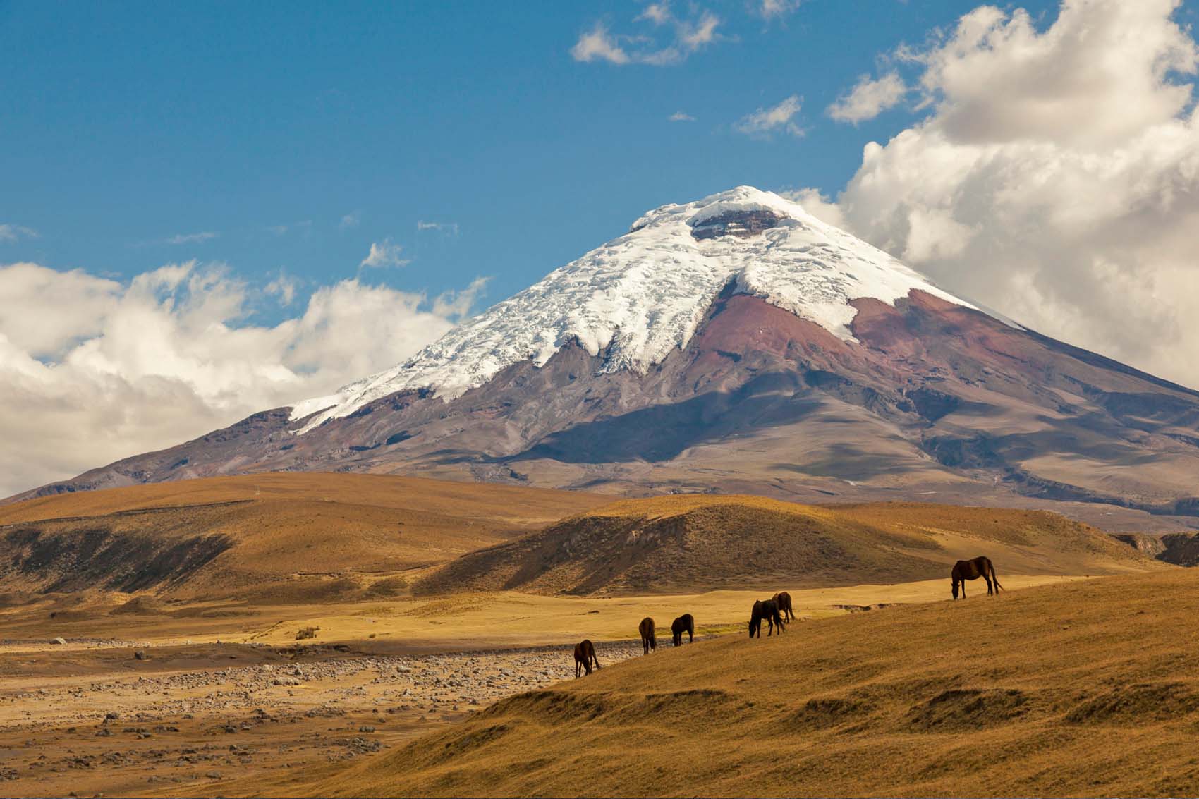 Ecuador Andes Cotopaxi 01 Cotopaxi er en af vulkanerne i Ecuador.