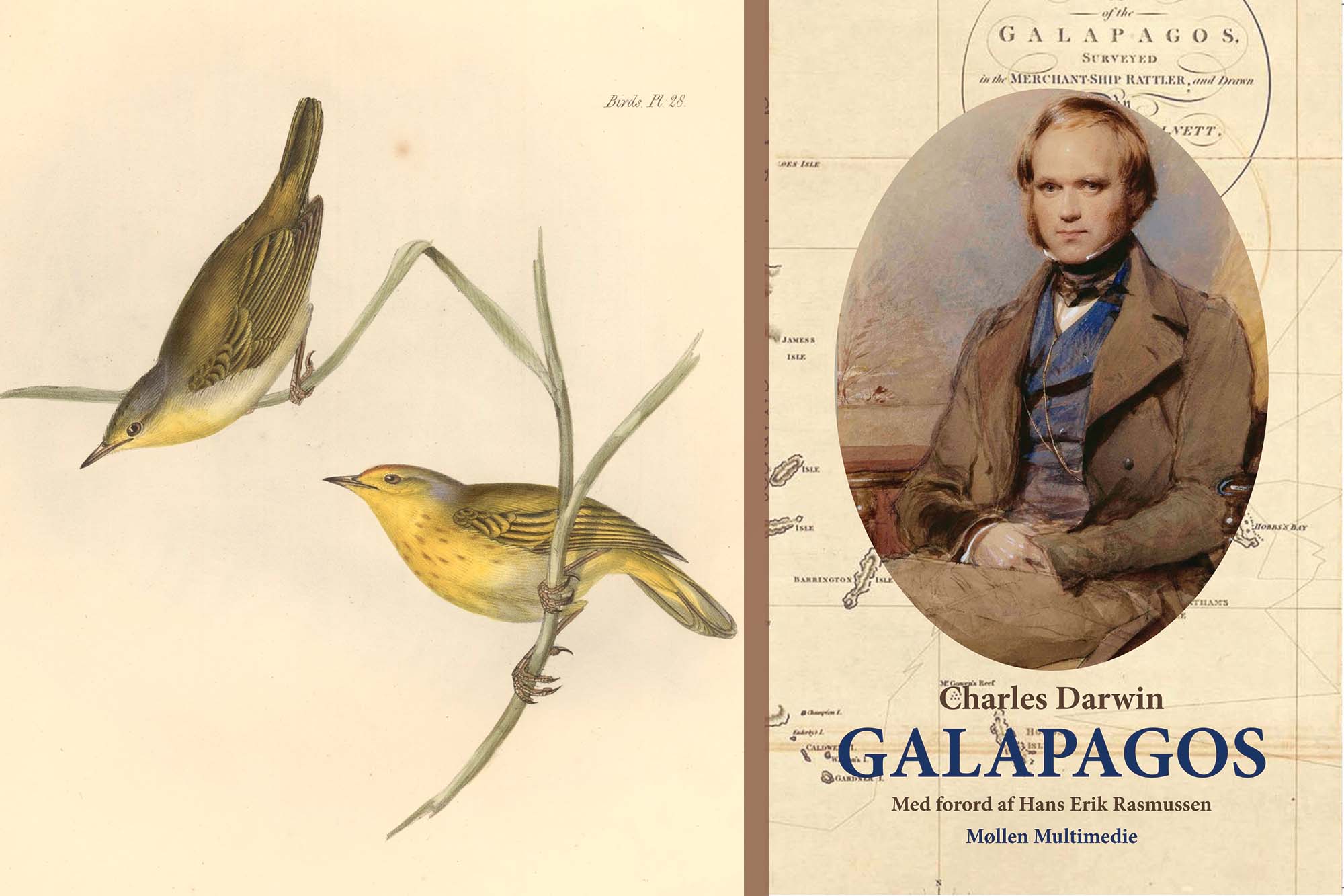 Kapitlet om sit besøg på Galapagos fra Charles Darwins bog Rejse om Jorden har Hans Erik Rasmussen udgivet på sit forlag.