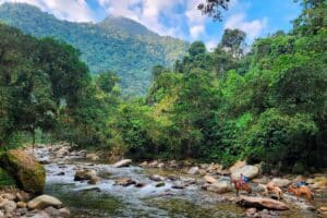 Ruren går gennem denne dal, hvor man krydser denne flod.