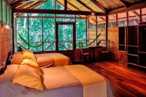 Værelse på Sacha Lodge.