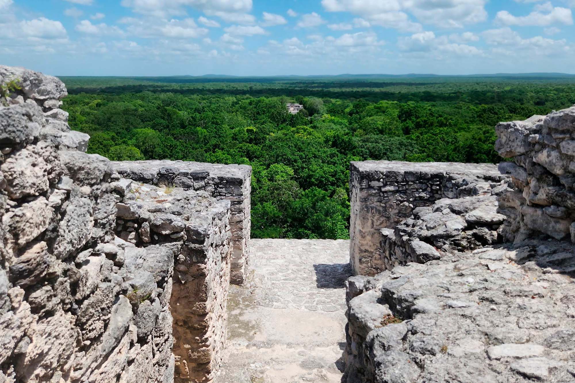 Calakmul ligger dybt i junglen.